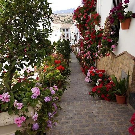 Casa De Las Flores - A Picture Perfect Location! Ель-Ґастор Екстер'єр фото