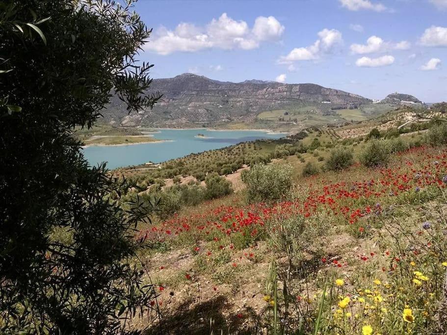 Casa De Las Flores - A Picture Perfect Location! Ель-Ґастор Екстер'єр фото