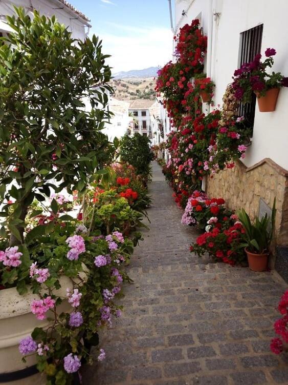 Casa De Las Flores - A Picture Perfect Location! Ель-Ґастор Екстер'єр фото