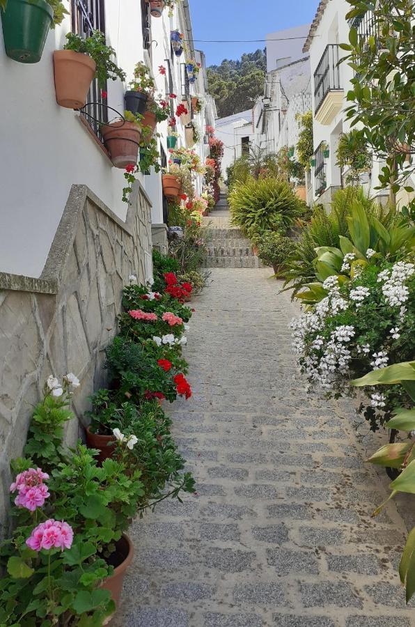 Casa De Las Flores - A Picture Perfect Location! Ель-Ґастор Екстер'єр фото