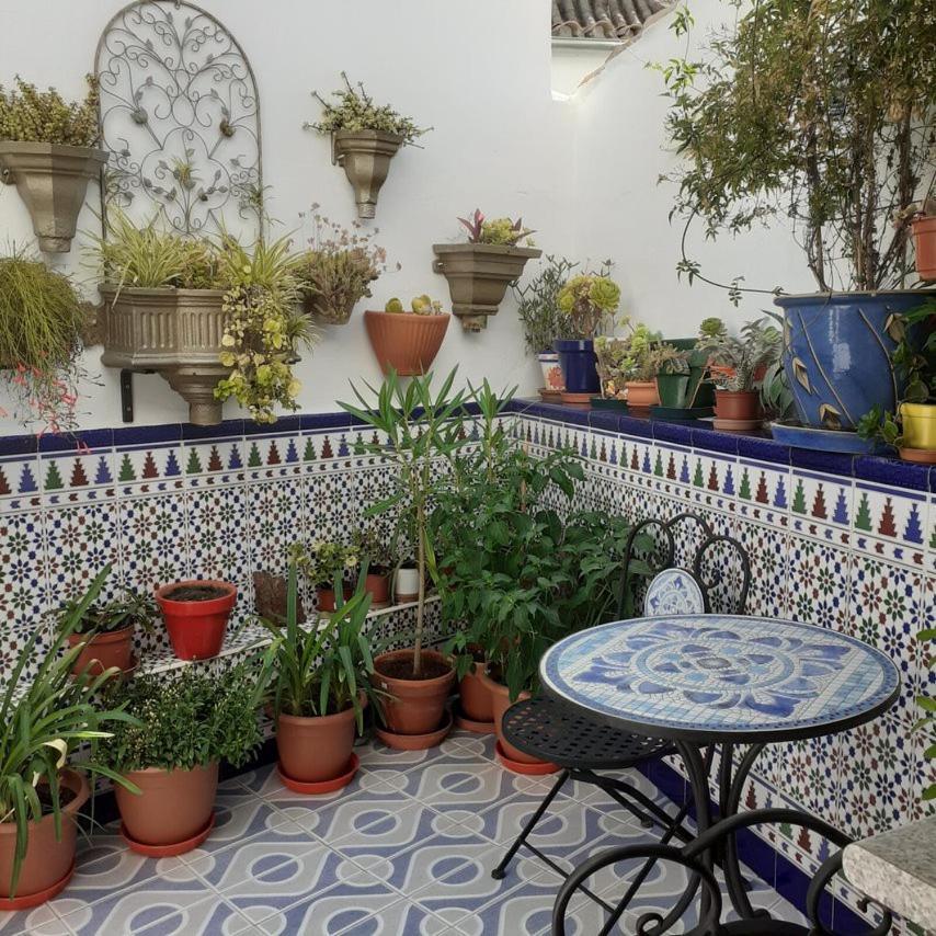 Casa De Las Flores - A Picture Perfect Location! Ель-Ґастор Екстер'єр фото