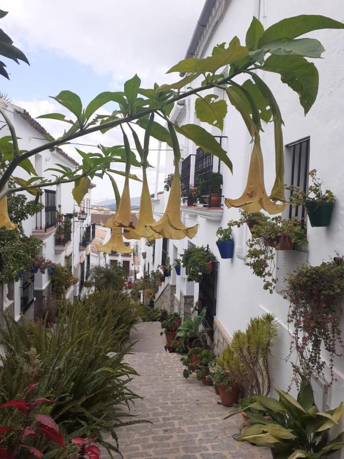 Casa De Las Flores - A Picture Perfect Location! Ель-Ґастор Екстер'єр фото