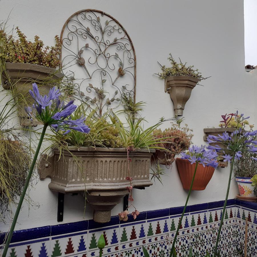 Casa De Las Flores - A Picture Perfect Location! Ель-Ґастор Екстер'єр фото
