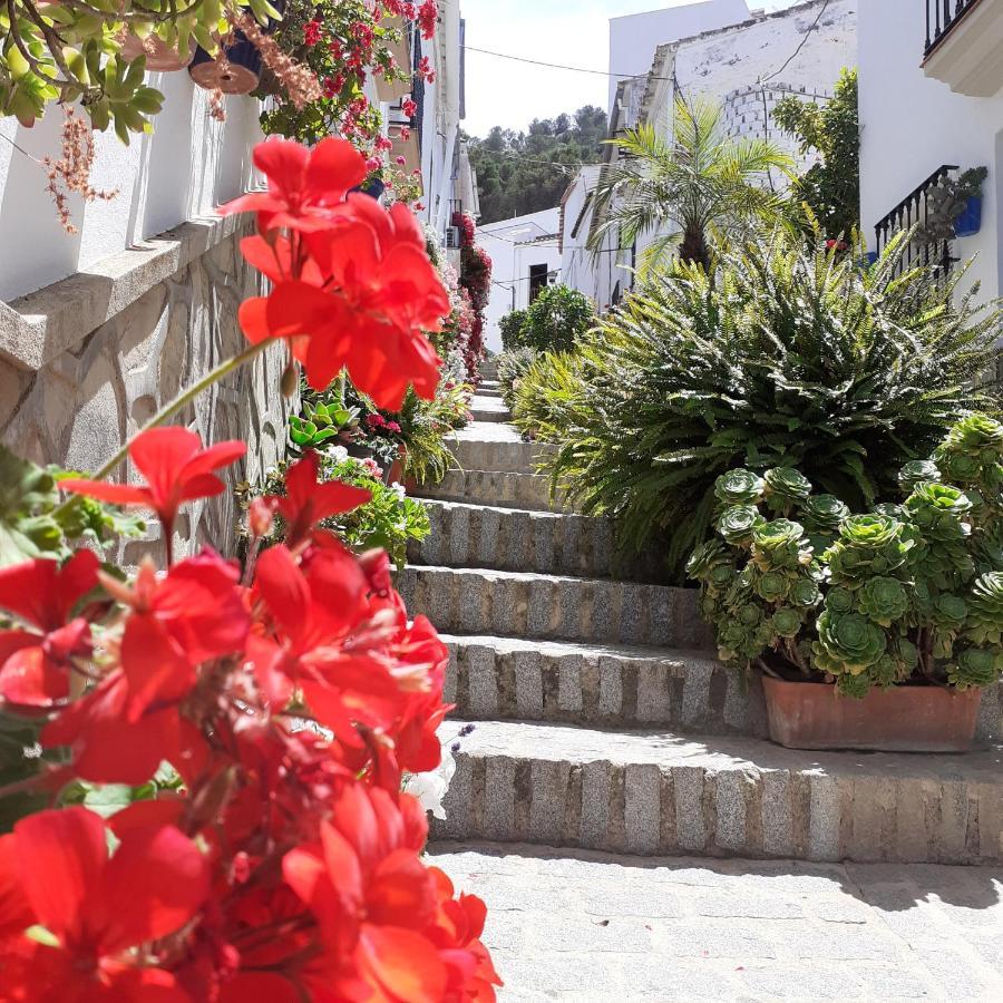 Casa De Las Flores - A Picture Perfect Location! Ель-Ґастор Екстер'єр фото